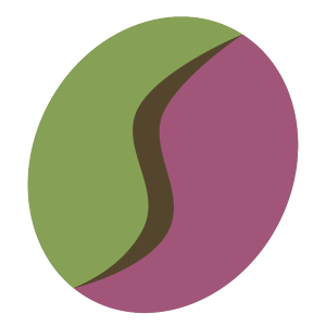 How to Brew the Perfect Cup